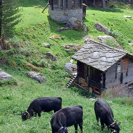 Alpenroesli Oda ve Kahvaltı Gasenried