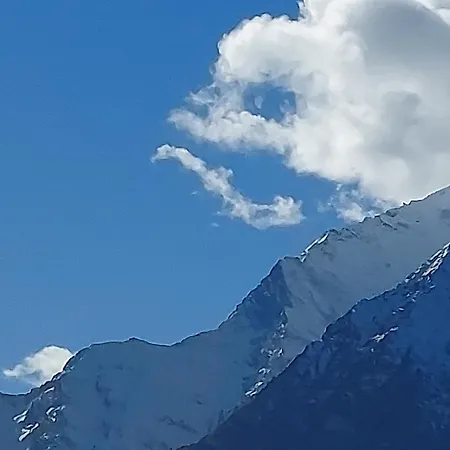Alpenroesli 2*