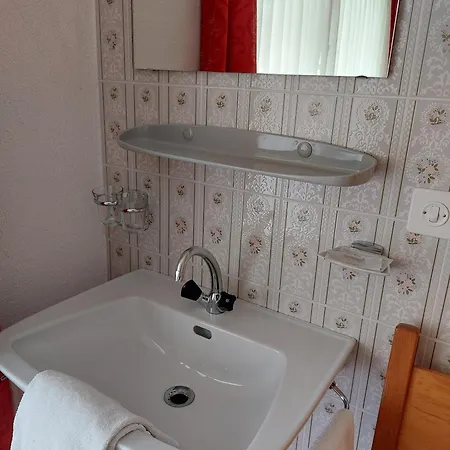 Alpenrösli 2*